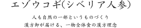 エゾウコギ(シベリア人参)