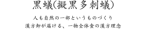 黒蟻(擬黒多刺蟻)