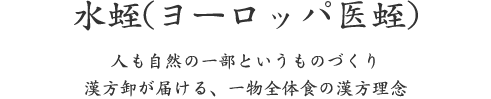 水蛭(ヨーロッパ医蛭)