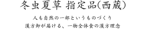 冬虫夏草 指定品(西蔵)