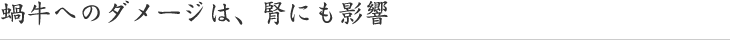 蝸牛へのダメージは、腎にも影響
