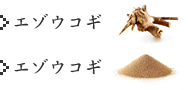 エゾウコギ