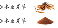 冬虫夏草