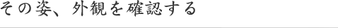 その姿、外観を確認する