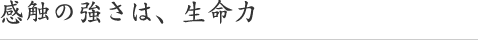 感触の強さは、生命力