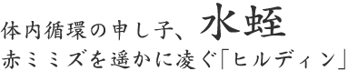 体内循環の申し子、水蛭 赤ミミズを遥かに凌ぐ｢ヒルディン｣