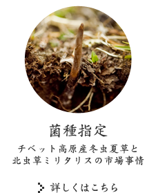 菌種指定